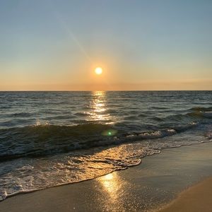 Meet your Posher, Bailey